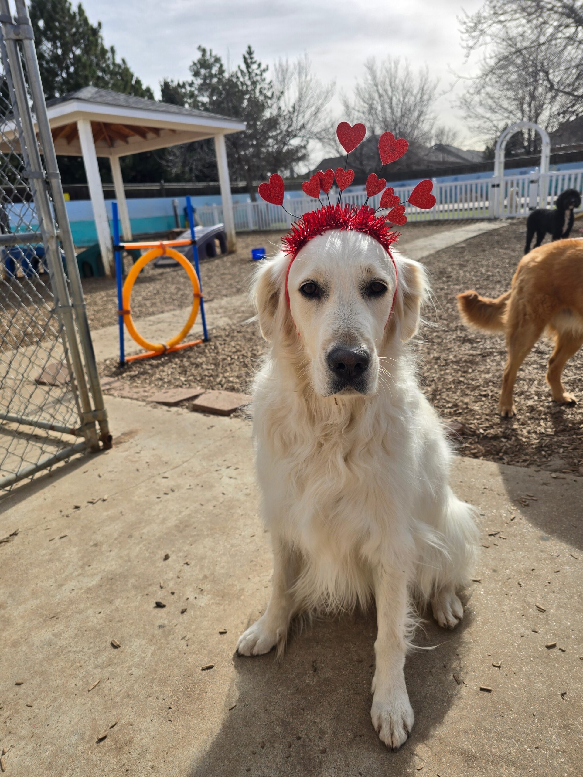 274970601279068178 2